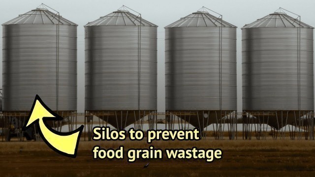 'Storing Food Grains In Silos: An Effective Method To Counter Regular Post-Harvest Losses'