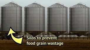 'Storing Food Grains In Silos: An Effective Method To Counter Regular Post-Harvest Losses'