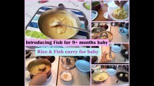 'Rice & Fish Curry recipe for 9+ months baby | How to make fish curry for baby | Fish puree for baby'