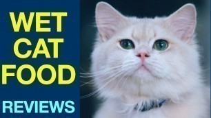 'Wet Cat Food Reviews'