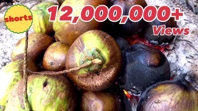 'Shorts - Traditional Roast Coconut in Thailand – Burnt Coconut | Thai Street Food | Food Good Taste'