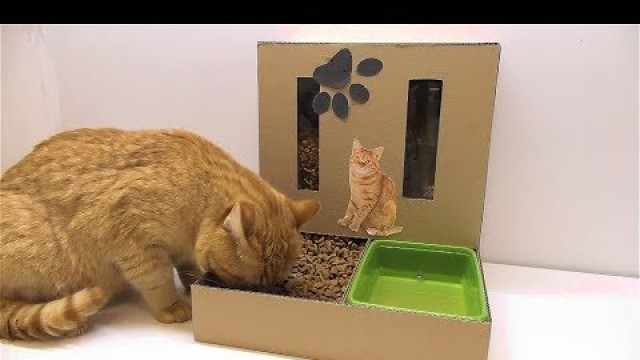 'DIY Cat Food Dispenser from Cardboard at Home'