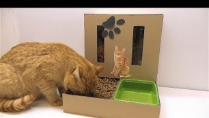 'DIY Cat Food Dispenser from Cardboard at Home'