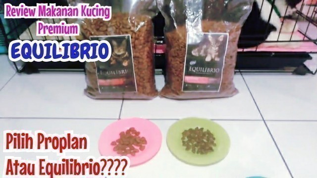 'Review Makanan Kucing Dry Food Equilibrio Adult Kitten dan Perbandingan Royal Canin ProPlan'