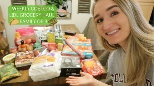 'VLOGMAS 2019 | DAY SIXTEEN | WEEKLY GROCERY HAUL FROM LIDL & COSTCO + A COUPLE MORE CHRISTMAS GIFTS!'