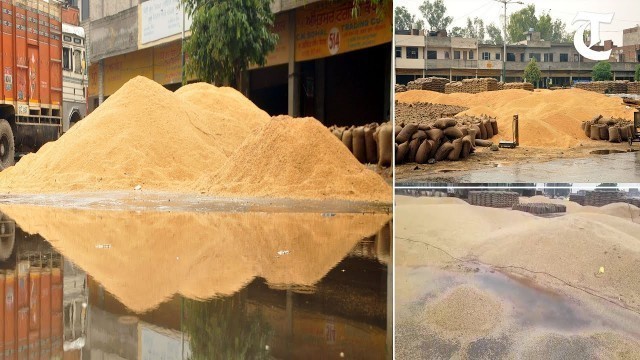 'Amritsar: Foodgrains get drenched at Bhagtanwala mandi'