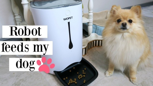 'NEVER Feed Your Dog Again! AUTOMATIC PET FEEDER Review'