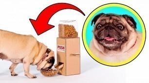 'Simple and Convenient: DIY Dog Food Dispenser'