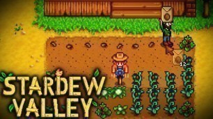 'New Seeds - Stardew Valley Episode 13'