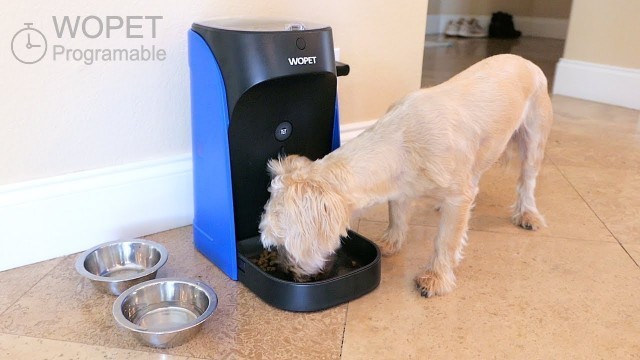 'Automatic Dog Cat - Pet Feeder - Time & Portions Programed'