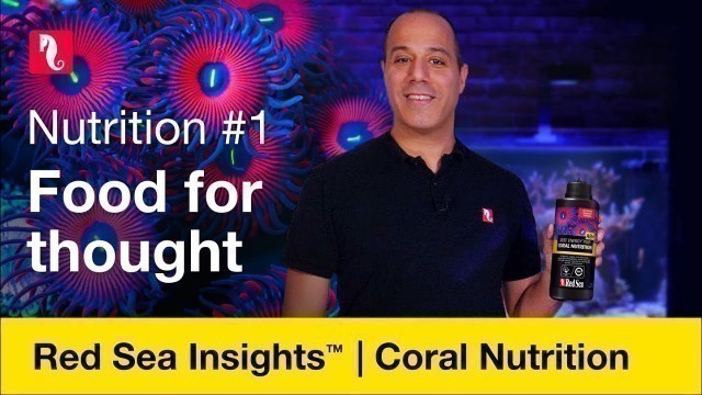 'Coral nutrition - food for thought'