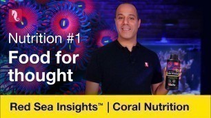 'Coral nutrition - food for thought'