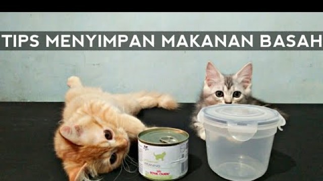 'Tips Menyimpan Makanan Basah/Wetfood'