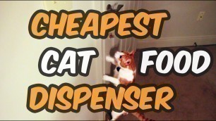 'CHEAPEST CAT FOOD DISPENSER!!! DIY'