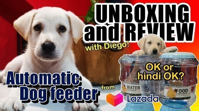 'Automatic Dog Feeder and Water Dispenser | LAZADA | REVIEW'