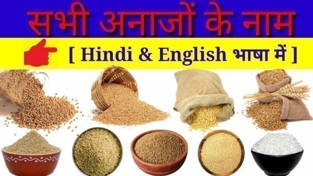 'Cereals Name in Hindi and English | All Cereals & Food Grains Name/अनाज के नाम हिंदी और इंग्लिश में'