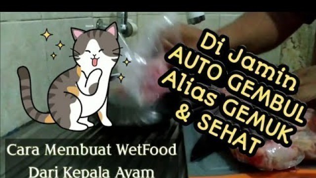 'Manfaat Kepala Ayam Untuk Kucing , Cara Buat Kucing GEMBUL'