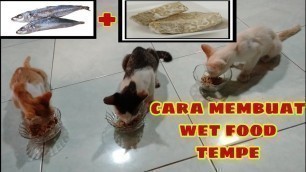 'CARA MEMBUAT WET FOOD TEMPE UNTUK KUCING'