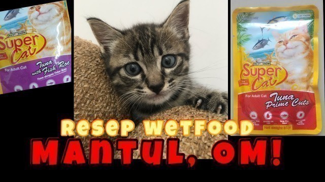 'Kucing makan daging mentah bikin gemuk? | Transisi rawfood dengan wetfood berkualitas'