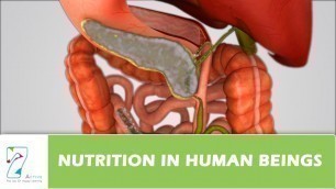 'Nutrition in Human Beings'