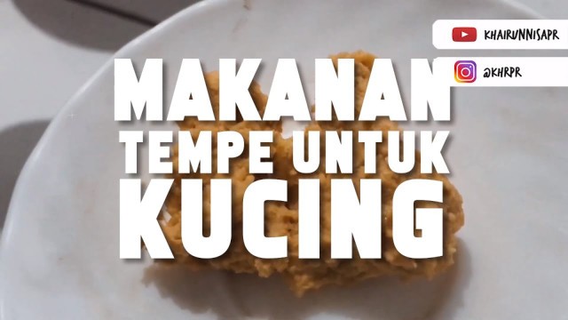 'CARA MEMBUAT MAKANAN TEMPE UNTUK KUCING'