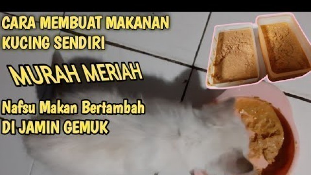 'CARA MUDAH MEMBUAT MAKANAN KUCING SENDIRI MURAH MERIAH DI JAMIN GEMUK #CATIME'