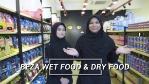 'Perbezaan makanan Dry Food vs Wet Food untuk kucing'