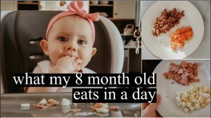 'What My 8 Month Old Eats in A Day | Baby Led Weaning & Breastfeeding || LoeppkysLife'