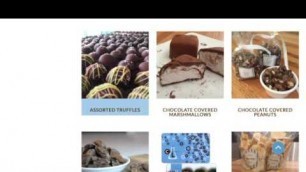 'Chocolate Lab, Denver Website Design'