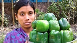 'Capsicum Recipe Tasty & Easy Capsicum Pakora Recipes Village Style Cooking By Street Village Food'