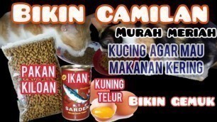 'Tips Cara Agar kucing Mau Makanan Kering | Cara Mengatasi kucing tidak Suka Makanan Kering Dry Food'