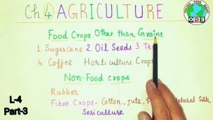 'Food Crops Other than Grains & Non FoodCrops(Rubber,Fibre)।CBSE Class10 Geography।Ch.4IAgriculture'