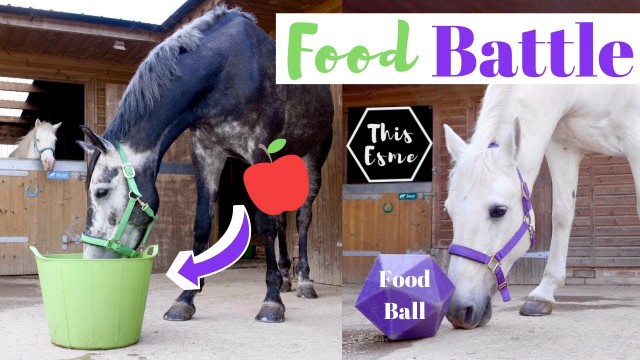 'Horse FOOD BATTLE 2020 | Which Pony Will WIN? AD | This Esme'