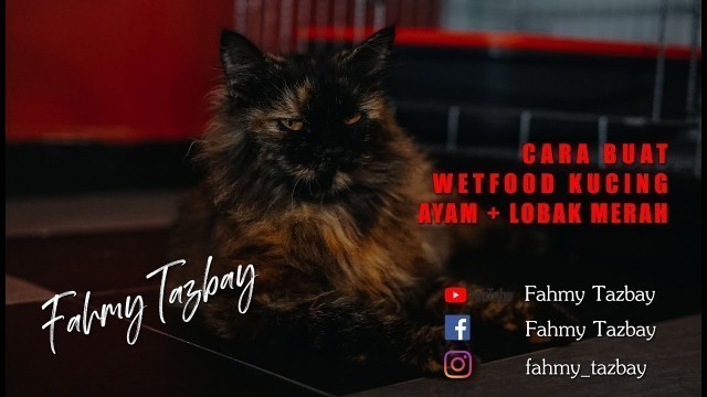 'Cara Buat Wetfood Kucing Sedap dan Buat Sendiri Di Rumah ( Ayam Rebus + Lobak Merah @ Carrot )'