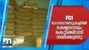 'Food Grains Rot In FCI Godowns In The Country | Mathrubhumi News'