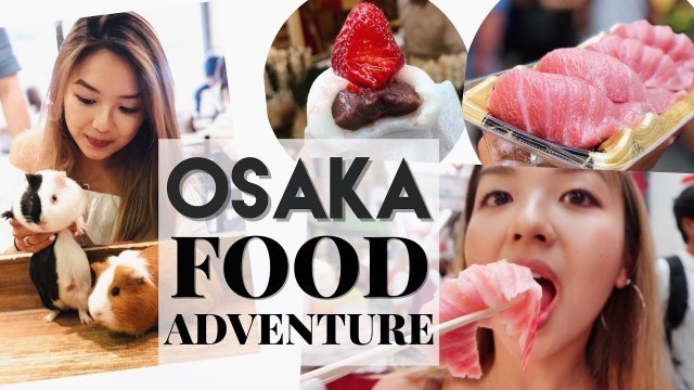 'FOOD ADVENTURE In OSAKA! | Animal - Hedgehog Cafe 