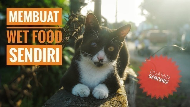 'Membuat Makanan Kucing (Wet Food) Sendiri yang Bikin Kucing Ketagihan!'