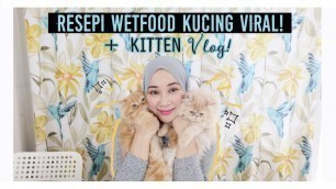 'Resipi Wetfood Kucing + Kitten Vlog | Aisha Mohd'