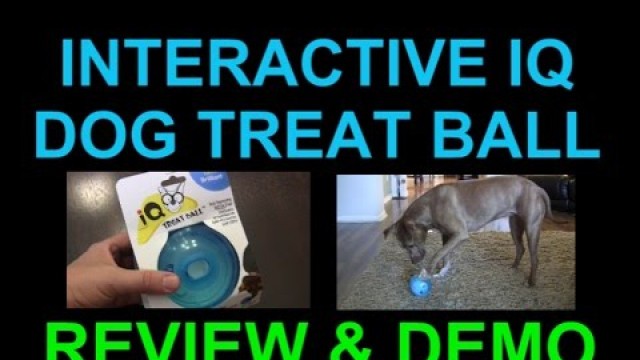 'OurPets Interactive IQ Treat Dispenser Ball Dog Toy - Review and Demo'