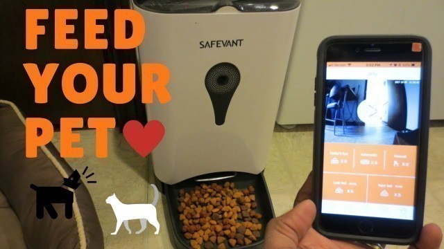 'Safevant Wireless SmartFeeder - Automatic Pet Food Dispenser with HD Video and 2-way Audio'