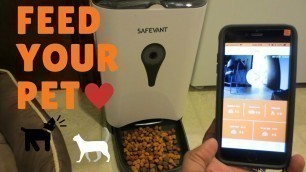 'Safevant Wireless SmartFeeder - Automatic Pet Food Dispenser with HD Video and 2-way Audio'