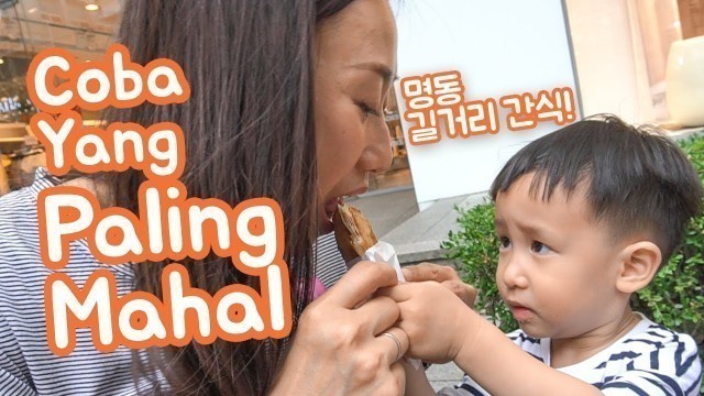 'Jajanan Street Food Korea di Myeongdong | Korea + Indonesia Family Vlog'