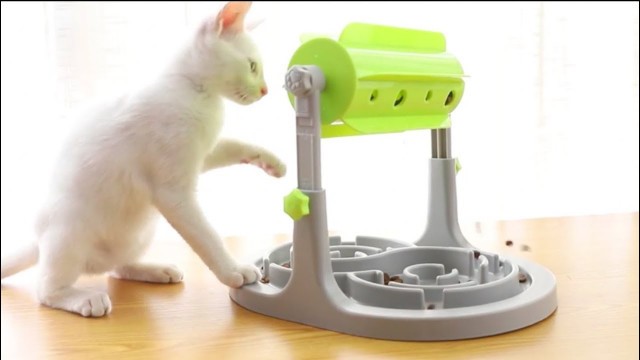 'Best Pet Slow Feeders 2021 | DOG & CAT SLOW FEEDER REVIEW'