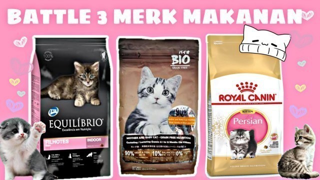 'ROYAL CANIN, EQUILIBRIO dan BIO di Cat Food Battle | Mana yang Menang?'