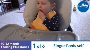 '10-12 Month Old Feeding Milestones'