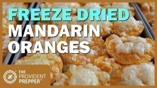 'Food Storage: Freeze Dried and Bottled Mandarin Oranges'