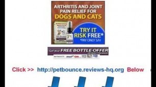 'Pet Bounce Reviews.One of the best arthritis treatment for dogs'