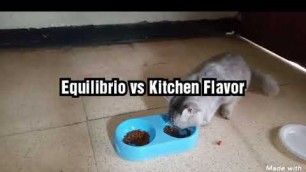 'Equilibrio vs Kitchen Flavor'