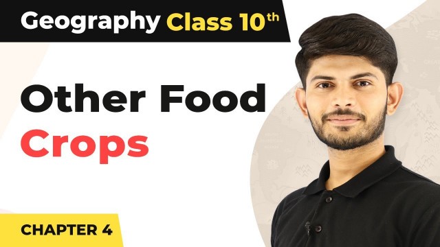 'Food Crops Other Than Grains - Agriculture | Class 10 Geography'