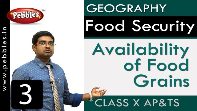 'Availability of Food Grains | Food Security | Social Science | Class 10'